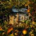 Foto 09